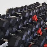 Profile Picture of Peter Pavlovic (@workout_.men) on Instagram