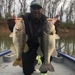 Profile Picture of Ossie Davis (@davisbassfishing) on Instagram
