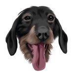 Profile Picture of Sir Oliver Longbottom (@oliverthedoxxie) on Instagram