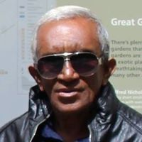 Profile Picture of Merril Francis Fernando (@fernandoumf) on Pinterest