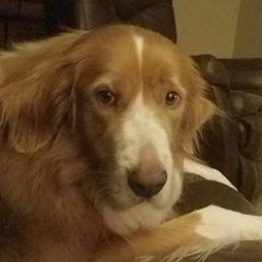 Profile Picture of Jeff Schilling (@jeffschilling61) on Twitter
