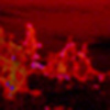 Profile Picture of Burning Man Connections / Joseph Dunphy (@Burning Man Connections / Joseph Dunphy) on Flickr