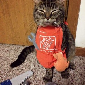 Profile Picture of Patrick Velarde (@PatrickVelarde3) on Twitter