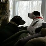 Profile Picture of Kelly McTurk (@turk1983) on Instagram