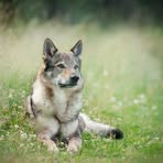 Michaela Krátka - Facebook Profile Picture of Michaela Krátka (@Michaela-Krátka) on Facebook