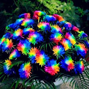 Profile Picture of Tammy Moose (@tammy.moose5) on Tiktok