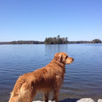 Profile Picture of Greg Gauthier (@GauthierGreg) on Twitter