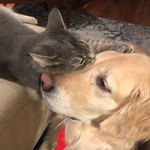 Profile Picture of Ryan Turok (@rturok) on Poshmark