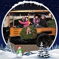 Profile Picture of Miranda Rowe (@miranda-rowe-12) on Quora