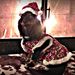 Profile Picture of Sonya Brooks (@sonyabrrt) on Pinterest