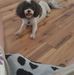 Profile Picture of Ralph Rutledge (@ralph.rutledge.948) on Facebook