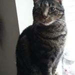 Profile Picture of Jean Ann Piotrowski (@jeanannpiotrowski) on Instagram