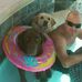 Profile Picture of Craig Wilson (@craig.wilson.75248) on Facebook
