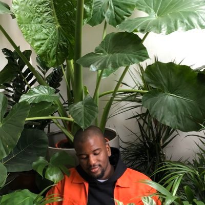 Profile Picture of Namir Dankaro (@kowadakowa) on Twitter