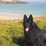 Profile Picture of Marcus Robbins (@marcusjohnrobbins) on Instagram