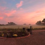 Profile Picture of Carl Stacey (@carl_stacey) on Instagram