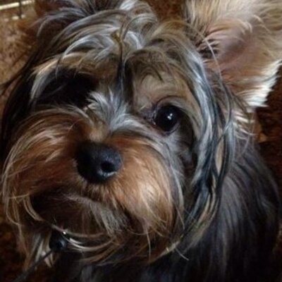 Profile Picture of Dawn Witherspoon (@WitherspoonDawn) on Twitter