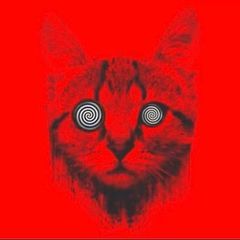 Profile Picture of Jon Gillispie52 (@jongillispie1) on Tiktok