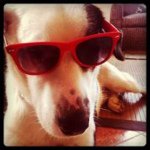 Profile Picture of Juan Blas (@juanblas) on Instagram