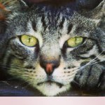Profile Picture of Kenneth Fontenot (@kenny612321) on Instagram