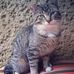 Profile Picture of Bobbie Kater (@bobbie.kater.3) on Facebook