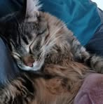 Profile Picture of Gary Kirsch (@gary.kirsch.9) on Facebook