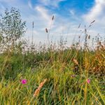 Kieran Daniels - Instagram Profile Picture of Kieran Daniels (@malcolmedon_38_el) on Instagram