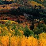 Profile Picture of Hugo Barillas (@barillas_h) on Instagram