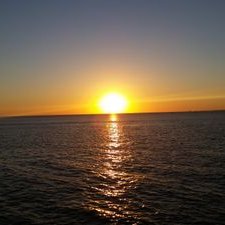 Profile Picture of Cindy Utter (@uttercyncerity) on Twitter