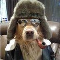 Profile Picture of Darrell Armstrong (@darrell-armstrong-21) on Quora