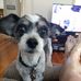 Profile Picture of Daniel Wismer (@daniel.wismer.31) on Facebook