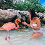 Cheryl Peterson - Instagram Profile Picture of Cheryl Peterson (@cherylpeterson08) on Instagram