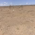 Profile Picture of Albert Njoroge Chege (@Albert-Njoroge-Chege) on Facebook