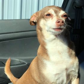 Profile Picture of Haley Alaniz (@haleydbby) on Pinterest