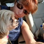 Profile Picture of Lori Scala Zarrilli (@zarrillilori) on Instagram