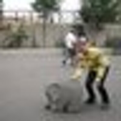 Brad Lindgren - Twitter Profile Picture of Brad Lindgren (@Marivel_050) on Twitter