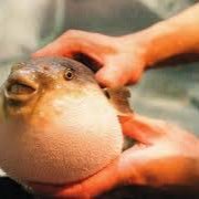 Profile Picture of EatSauce22 (@_DavidFeith_) on Twitter