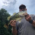 Profile Picture of Matthew King (@kingmatthew.e19) on Instagram