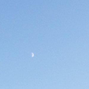 Profile Picture of Rashi (@aleelai1) on Myspace