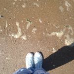 Profile Picture of Ellis (@ellis_wilkes13) on Instagram