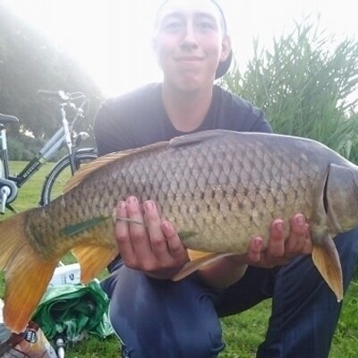 Profile Picture of Mikevdlaan (@mike_vanderlaan) on Twitter