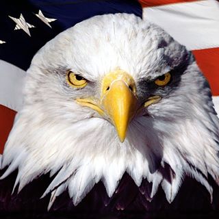 Profile Picture of Eugene Larson (@eugene.larson.7) on Facebook