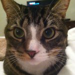 Profile Picture of James Tiberius Kuykendall (@captain_jimmy_kirk) on Instagram