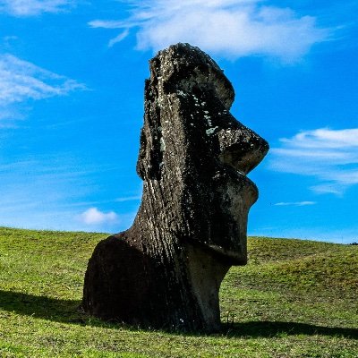 Profile Picture of Mei Sum Chan (@mei_s_chan) on Twitter