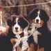 Profile Picture of Lorie Gingras (@lorie.gingras.31) on Facebook