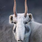 Profile Picture of Neil Dexter (@neildextermusic) on Instagram