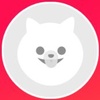 Profile Picture of Jack Haskell (@@jack.haskell) on Tiktok