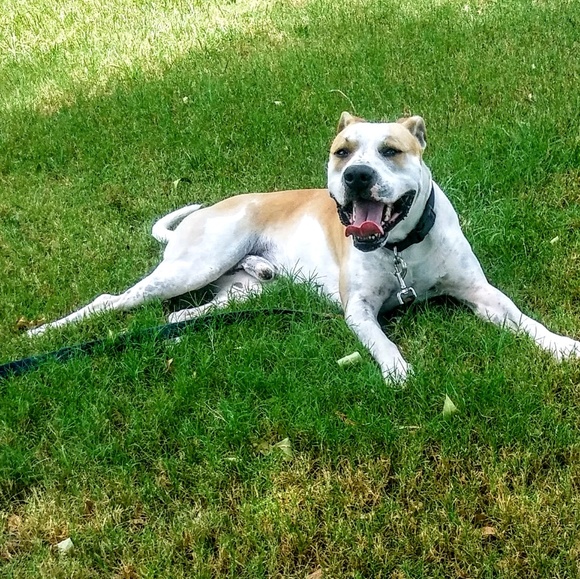 Profile Picture of Dawn Patsey (@dawnpatsey2) on Poshmark