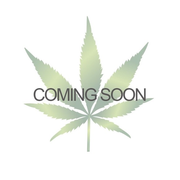 Profile Picture of Kalikush Kollective (@kalikushk) on Poshmark