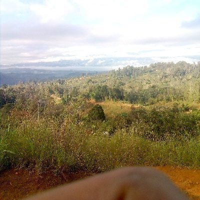 Profile Picture of Nason Ben (@nason_ben) on Twitter